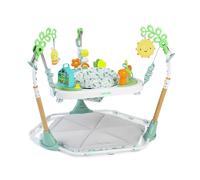 Ingenuity Tummy To Toes 6-in-1 Milestone Activity Centre