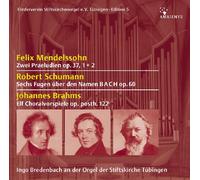 Ingo Bredenbach - Die Orgel der Stiftskirche St. Georg in Tübingen