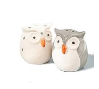 Ingrosso e Risparmio Cute Owls Salt & Pepper Set with Clear PVC Box Included