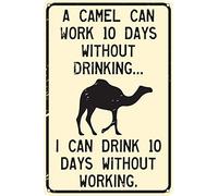 Ingzzaac A Camel Can Work 10 Days Without Drinking Funny Tin Sign 8"x12"