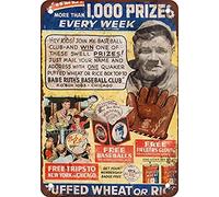 Ingzzaac Babe Ruth Baseball Club Tin Sign 8X12 Inches