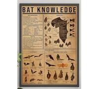 Ingzzaac Bat Knowledge Poster, Bat Anatomy Poster, Knowledge Poster, Bat Lover, Types Of Bats Print, Vintage Poster Home Decoration Novelty Wall Art Decorative Crafts Retro Metal Tin Sign 8X12 Inches