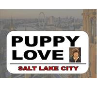 Ingzzaac Donny Osmond Novelty Reproduction Street Sign Puppy Love Wall Plaque Decoration Props Plaque 8X12 Inch