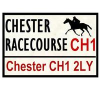 Ingzzaac Horse Racing Road Signs (Chester) S 8X12 Inches
