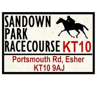 Ingzzaac Horse Racing Road Signs (Sandown Park) Gift 8X12 Inches