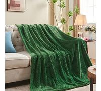 inhand Green Throw Blanket for Couch, Super Soft Cozy Warm Blankets and Throws, Lightweight Fuzzy Twin Blanket for Sofa Bed Office,60x90 inches