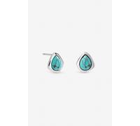 Inicio Silver Plated Turquoise Polished Stud Earrings