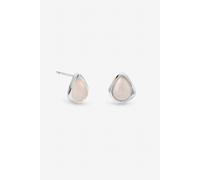 Inicio Women's Sterling Silver Rose Polished Stud Earrings Inicio Silver One Size