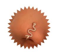 Inilbran Punk Snake Clip On Nose Ring Vintage Serpent Snake Fake Nose Ring Gold Wave Snake Nose Ring Non Pierced Nose Ring Jewelry for Women and Girls