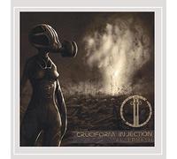 Injection Cruciform - Aftermath