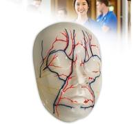 Injection Face Training Model, Skin Simulation Real Injection Model Reusable for Micro-Plastic Teaching, Esthetician Teaching, Medical Student Doctor