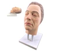 Injection Male Face Training Model with 90° Rotatable Base - Realistic Mannequin Head for Toxin & Filler Practice, Face Microplastic Simulation - Fit for Aestheticians & Medical Students