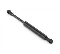 Injection pump vibration damper 1968FW STABILUS for CITROËN PEUGEOT