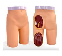 Injection Training Model for Buttock Muscles - Medical Practice Model for Nursing Students with 3 Injection Techniques