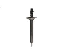 DELPHI R06001D-12B1 Injector