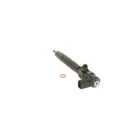 BOSCH 0 445 110 191 Injector Nozzle