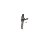 BOSCH 0 445 110 250 Injector Nozzle