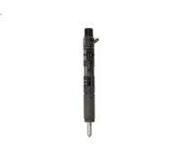 DELPHI 28232248 Nozzle and Holder Assembly