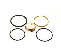 Injector installation ki DT SPARE PARTS 1.31294 for SCANIA P I 8.867 2004-2019
