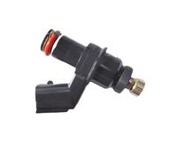 Injector Kit- Includes Nozzles for 250CC Motorcycle Fuel Injector BT-B Spray Nozzle Ten Hole Length 43.6mm Fuel Injectors