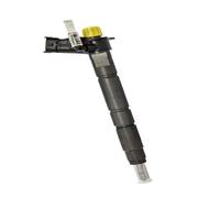 Injector LR001325 Common Rail Fuel Diesel Injector Compatible for Land Rover Freelander 2.2D