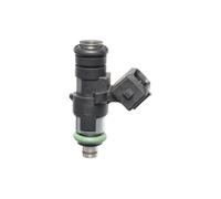 Injector VALEO 348206