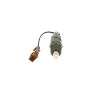 BOSCH 0 432 217 306 Nozzle and Holder Assembly