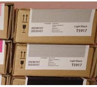 Epson Singlepack Light Black T591700
