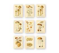 Ink Inc Botanical Prints Edible Mushrooms Vintage Drawings Wall Ar t - Set of 9 - 5x7 Matte Unframed
