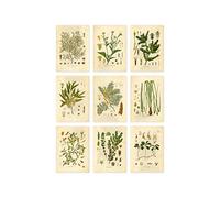 Ink Inc. Botanical Prints Wall Art - Medicinal Plants and Herbs - Set of 9 5x7 Inches - Unframed