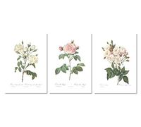 Ink Inc. Set of 3 Botanical Prints White Home Decor Redoute Roses Unframed Wall Art 8x10 inch