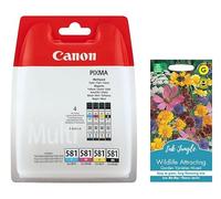 Ink Jungle CLI581 Black Cyan Magenta Yellow Ink Cartridge for PIXMA TS8250 TS8251 TS8252 TS705 TS6350 TS8350 TS6351 TS8351 TS8352 TS6350a TS6351a TS8350a TS8351a TS8352a FlowerPack