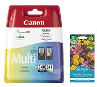 Ink Jungle PG540 Black CL541 Colour Ink Cartridge For MG2150 MG2250 MG3150 MG3250 MG3255 MG3550 MG3650 MG4150 MG4250 MX375 MX395 MX435 MX475 MX515 MX525 MX535 MX455 TS5150 TS5151 Printer & FlowerPack
