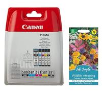 Ink Jungle PGI580 CLI581 Black Cyan Magenta Yellow Ink Cartridge for PIXMA TS8250 TS8251 TS8252 TS705 TS6350 TS8350 TS6351 TS8351 TS8352 TS6350a TS6351a TS8350a TS8351a TS8352a FlowerPack