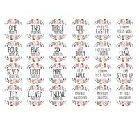 Inkdotpot 12 Month Baby Milestone Sticker Boy/Girl-Monthly Milestone Round Stickers, Record Newborn’s First Year Infant Baby Photo Props (Florals), 24 Count-4 Inches