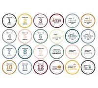 Inkdotpot 12 Month Baby Milestone Sticker Boy/Girl-Monthly Milestone Round Stickers, Record Newborn’s First Year Infant Baby Photo Props (Scallop), 24 Count-4 Inches
