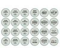 Inkdotpot 12 Month Baby Milestone Sticker Boy/Girl-Monthly Milestone Round Stickers, Record Newborn’s First Year Infant Baby Photo Props (Elephant), 24 Count-4 Inches