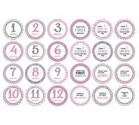 Inkdotpot 12 Month Baby Milestone Sticker Boy/Girl-Monthly Milestone Round Stickers, Record Newborn’s First Year Infant Baby Photo Props (Pink Stripe & Chevron), 24 Count-4 Inches