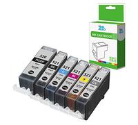 InkJello Compatible Ink Cartridge Replacement for Canon Pixma MP980 MP990 MX860 PGI-520/CLI-521 (Black, Cyan, Magenta, Yellow, Grey, 6-Pack)