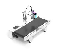 Inkjet Printer with Automatic Conveyor Belt, Intelligent Positioning, and File Editing Support for Multiple Languages and USB Import