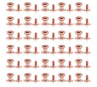 INKNOTE 125 Sets Chicago Screws Rose Gold Solid Round Head Button Tack Slotted Screws Nipple Rivet Studs Nail Rivets for Clothing Shoes Belts Bags Watchbands Dog Collars DIY Leather Craft Accessories