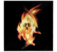 Inlaystickers for Guitars & Bass - Real Fire Series - Skull, RF-227SK