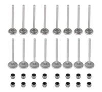 Inlet Valve Outlet Valve Set with Valve Stem Seal for Passat Golf 4 6 5 Polo Sciro-cco Shar-an Ti-guan Tour-an Beetle Caddy Je-tta A1 8X A2 A3 8P Ibiza Leon Fabia Octa-via Superb 1.4 1.6