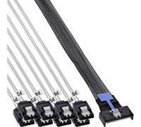 InLine MCIO x8 Breakout Cable to 8X SATA Male for HDD and SSD 0.75m