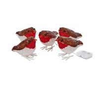 Inlit Ice Led Acrylic Robin Lights Set Of 5