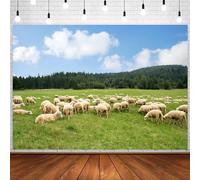 InMemory Countryside Pasture Sheep Backdrop Green Farm Grazing Background