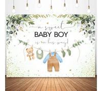 InMemory Greenery Baby Shower Backdrop Oh Baby Clothes Welcome Newborn Party Decorations Banner Watercolor Floral A Sweet Boy is On The Way Sign Photography Background Photo Props 7x5ft