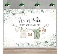 InMemory Greenery Gender Reveal Backdrop He or She What Will Baby Be Boy or Girl Clothes Neutral Party Decorations Banner Green Eucalyptus Leaves Tablecloth Photo Background 6x4ft