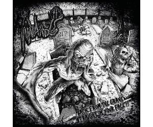 Innards Back From The Grave, Straight In Your Face (CD) (US IMPORT)