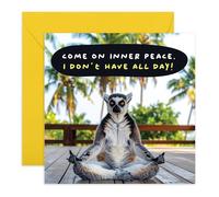 Inner Peace Lemur Greeting Card - Meditation Joke - Thinking of You Card for Him, Her, Stressed Friends, Wife, Husband, Girlfriend, Boyfriend, Fiance, Mum, Dad, Daughter, Son - Comes with Stickers
